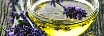 Bowl of golden massage oil surrounded by sprigs of lavender